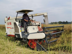 农机助力油菜收割