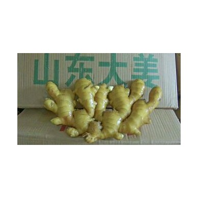 [供]山东生姜产地，常年供应优质大黄姜，小黄姜，面姜，姜