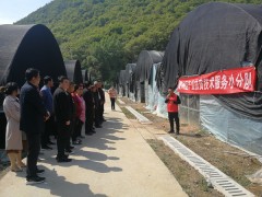 耀州：技术效力到田间  精心指点强决计