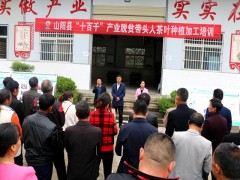 山阳：茶叶种植加工培训 助推产业提质增效