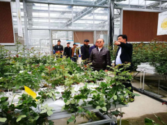 省委农办秘书处赴毕节晋中市调研乡村复兴义务