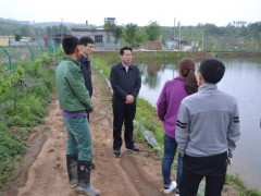 鹤壁市农业农村局副局长洪亮调研小龙虾养殖