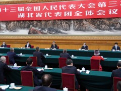 习近平参与湖北代表团审议-营口鹤壁市农业农村局