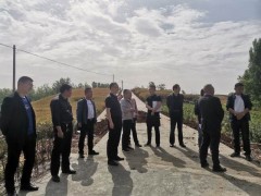 汉台：省农业农村厅到汉台区调研高标准农田树立义务
