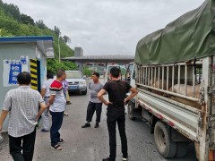 古蔺县农业农村局综合执法大队展开非洲猪瘟防控及安全消费督查