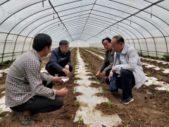 鹤壁市农学会：助力脱贫 科技先行-宝鸡鹤壁市农业农村局