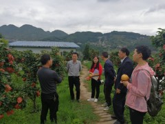 省绿色食品认证专家组到毕节展开绿色食品认证义务