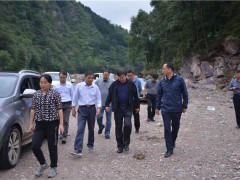 宁殿林深化我鹤壁市洛南县反省指点农业消费受灾救灾义务