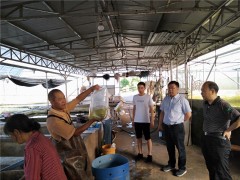 省农业农村厅到泸县展开水生植物疫病监测