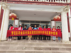 罗庄区农业农村局志愿队展开农产质量量安全宣传志愿效力活动-临沂市农业农村局