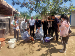 延安：富县展开土鸡养殖  助推产业脱贫