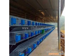 云蒙湖笼具厂(图)-兔笼批发-北碚区兔笼