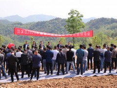 汉滨区：2020年蔬菜产业展开暨辣椒定植现场会召开