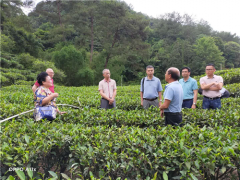 “绿色防控”结硕果  添加污染效益好