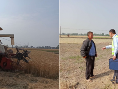 什邡晋中市农业农村局积极展开“双抢”效力