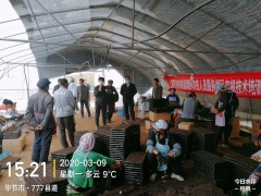 田间地头搞培训促春耕  完成贴心效力“零距离”