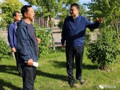 乌翠区区委副书记、区长刘海布置部署我区今冬明春城镇绿化任务