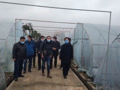 郄英才、张丛玉到宜城晋中市、南漳县调研春耕农业消费义务-襄阳晋中市农业农村局