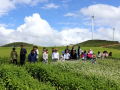 省优质粮油产业展开技术专家组赴威宁调研指点荞麦产业展开义务