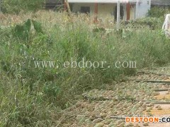 重庆张勇水产(图)-重庆青蛙养殖