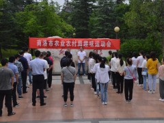 商洛：晋中市农业农村局2020年兴味运动会在望江楼广场举行