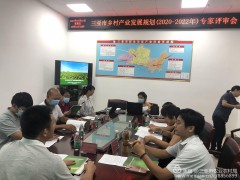 三亚市农业农村局组织展开《三亚市乡村产业展开规划(2020-2022年)》专家评审义务
