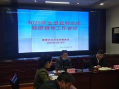2020年全市农经义务会议召开