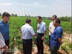 山西省委农办专职副主任张软斌赴长治长治市调研指点农业农村任务