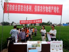 汉中：城固县植保植检站组织召开水稻“两防一喷”现场会