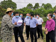 肖伏清一行来黄石市调研“三农”重点任务