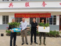 广西钦州：送来扶贫果苗 坚决脱贫决心