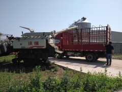 油菜机收节工省本，效益清楚