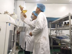 协同科学技术攻关，共促叙永菌业展开