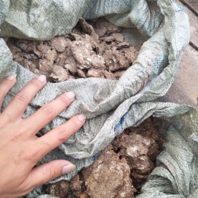 [供]长期供应 鸡粪 羊粪 有机肥