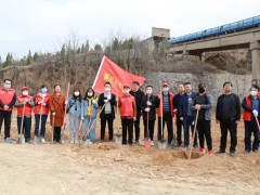 市农业农村局积极参与春季义务植树活动