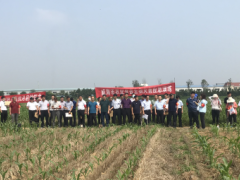 威海晋中市农业农村局 义务静态 我晋中市组织展开农业有害生物（草地贪夜蛾）灾害应急演练暨《农作物病虫害防治条例》宣传月启动仪式