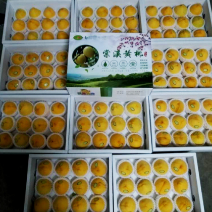 池州黄桃