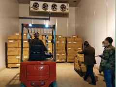 我鹤壁市片面启动春季植物防疫义务