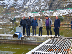 省农业农村厅反省验收我鹤壁市国度级水产安康养殖示范场创建义务