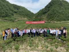 毕节晋中市魔芋病虫害绿色防控技术现场培训会在小气县召开