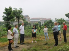 晋中市农业农村局到泸县指点现代农业园区晚熟龙眼示范园规划树立义务
