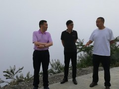 汉源县委副书记、县长覃建生到富林镇太平村调研高标准农田树立和人居环境整治等义务