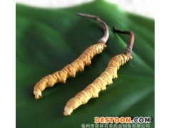 迪庆回收名烟名酒全国业务上门