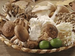 承德蘑菇 - 河北承德有哪些特产