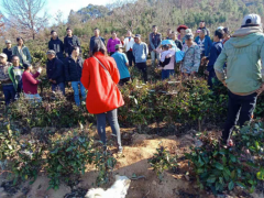 勐阿镇召开生态茶园管理培训和桑蚕产业宣传发动会