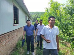 延安：富县抓产业调研   促畜牧展开