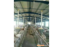 太原自动上下料线生产厂家