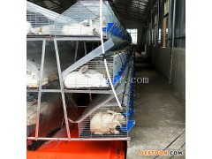 制作兔笼-云蒙湖笼具厂-江门兔笼