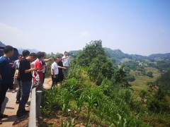 早部署、强指点，加快推进高标准农田树立