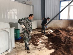 商洛：晋中市农检中心展开《秦巴山区食用菌中重金属识别控制技术集成与示范》项目中试实验